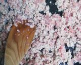 えのき茸入り肉そぼろ【常備菜】作り方5写真