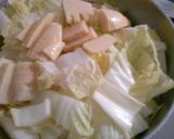 簡単!ヘルシー白菜とたけのこ豆腐の和風煮作り方3写真