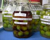 うちの梅酒作り方5写真