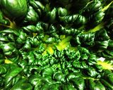 超簡単!牛肉とターサイのオイスター炒め♡作り方1写真