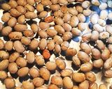 残った節分豆で簡単！炊き込みご飯作り方2写真
