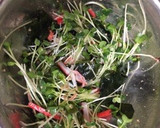 豆腐とカイワレのゴマだれがけ☆作り方4写真