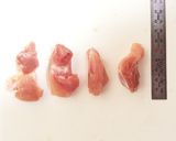 鳥の釜揚げうどん作り方2写真