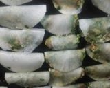 大根で餃子作り方3写真