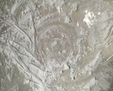 手作り餃子♪作り方7写真