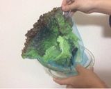 かんたん♪ 裏技♪ 野菜の水切り方法♪作り方4写真
