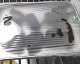 牛ミスジ肉ブルゴーニュ流の赤ワイン煮込み作り方14写真