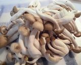 白菜豚汁♪作り方4写真