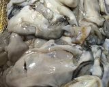 カキ（牡蠣）のペースト作り方1写真