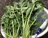 大根の葉っぱのおにぎり作り方1写真
