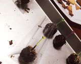 ケーキポップ 簡単ラッピング作り方2写真