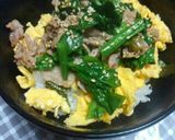 あなたはどの味？簡単♪豚とほうれん草の丼作り方4写真