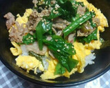 あなたはどの味？簡単♪豚とほうれん草の丼作り方4写真