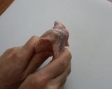 中から餅がとろっ　”もちってば”作り方1写真
