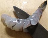 お弁当に 返し海老作り方1写真