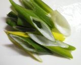 キムチ味(チゲ風)豆腐♪作り方1写真