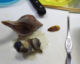 つぶ貝の柔らか煮作り方4写真