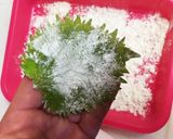 ♪鶏むね肉の大葉巻き天ぷら♪作り方3写真