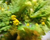 春♪菜の花でワインのおつまみ♪作り方3写真