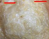 おもちとチーズの袋煮作り方4写真