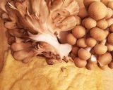 きのこご飯 お手軽簡単作り方3写真