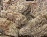 チキンフィレオ♪（チキンバーガー）作り方7写真
