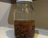 【自家製酵母】レーズンの酵母液作り方2写真