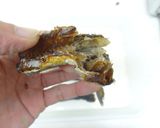 とび魚煮干し作り方2写真