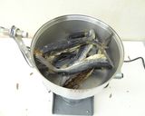 とび魚煮干し作り方3写真