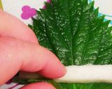 おつまみ＊ご飯のお供に最高！しそ大根作り方5写真
