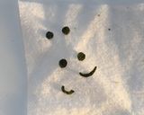キャラ弁❤︎ごはんのおひなさま作り方13写真