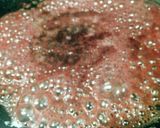 お家で？？できちゃう？牛肉タリアータ作り方9写真