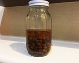 【自家製酵母】レーズンの酵母液作り方3写真