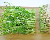春色！ふわとろたまごと豆苗のオムライス作り方1写真