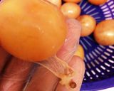 ◎意外と簡単！鶏きんかんの甘露煮◎作り方2写真