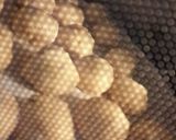 チョコinボールクッキー作り方8写真