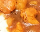 和風カレーうどん簡単めんつゆカレーライス作り方6写真
