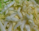 白菜とベーコンの簡単春巻き作り方1写真