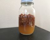 【自家製酵母】レーズンの酵母液作り方5写真
