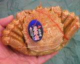 カニ玉ミニバーガー♪作り方1写真
