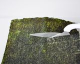 手巻き寿司“風”おつまみレシピ作り方2写真