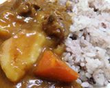 エミューのすじカレー作り方9写真