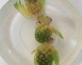 ふきのとう味噌作り方2写真