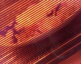 5分で作れる☆ダイエット料理作り方4写真