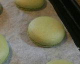 春色♡チーズクリームのお抹茶マカロン作り方10写真