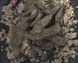 牛蒡豚挽肉の時雨煮風作り方3写真