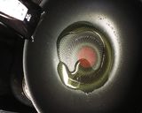 パリっとジューシー♡ガーリックチキン作り方4写真