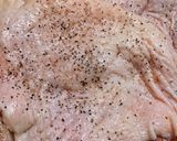 魚焼きグリルでチキンステーキ作り方2写真
