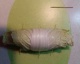巻きまき白菜作り方6写真