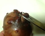 ホヤの器♪ホヤポン酢作り方1写真